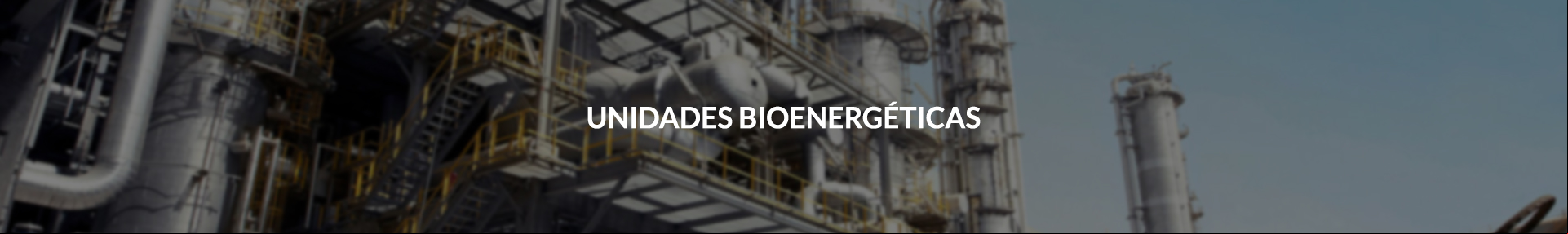Unidades Bioenergéticas